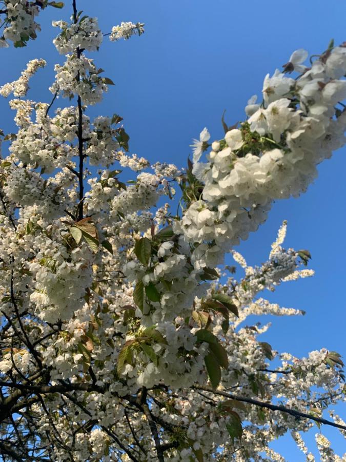 Treffpunkt Gehrden Lägenhet Jork Exteriör bild