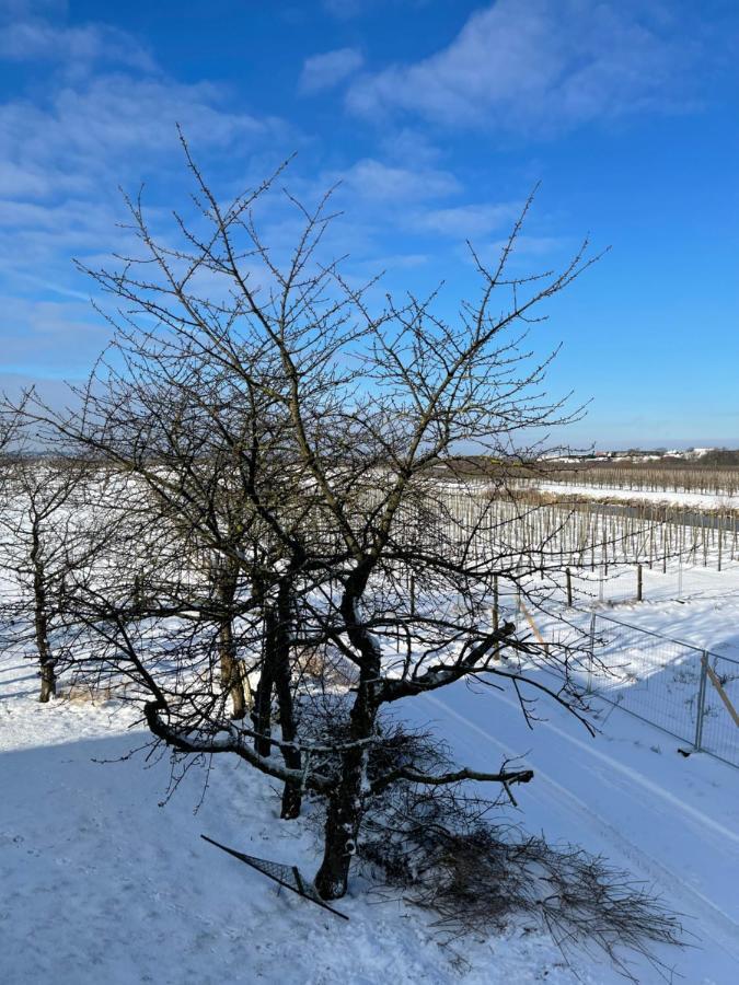 Treffpunkt Gehrden Lägenhet Jork Exteriör bild